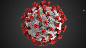 Coronavirus Covid-19
